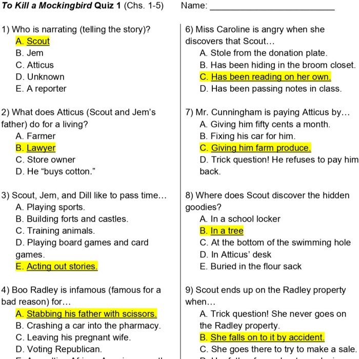 To kill a mockingbird quiz chapters 1-5