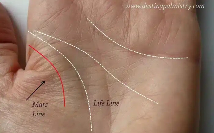 Line of mars in palmistry