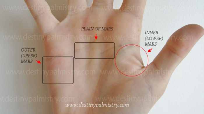 Line of mars in palmistry