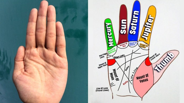 Line of mars in palmistry