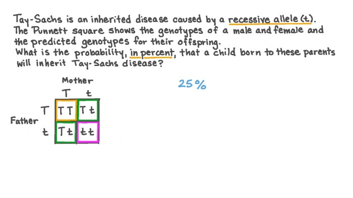 Punnett square for tay sachs