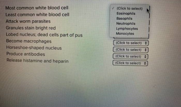 Match following items