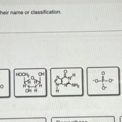 Nucleotide nucleotides