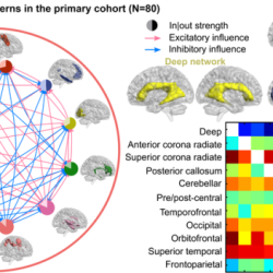 Concentric zone model strengths and weaknesses